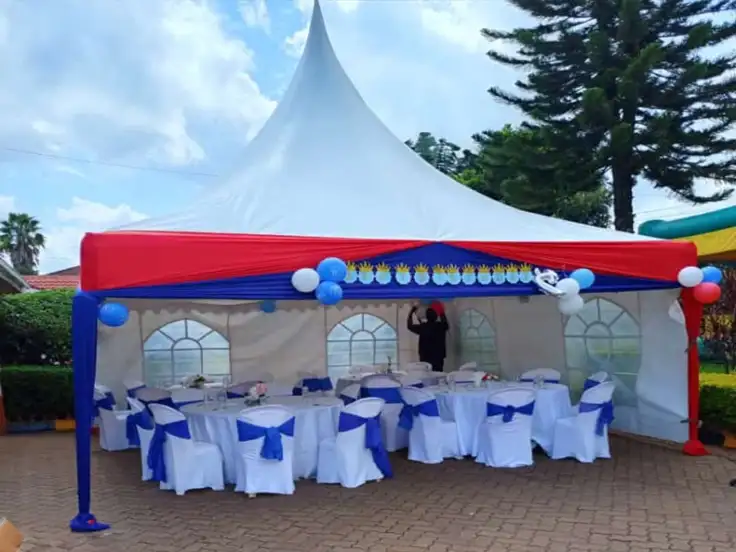 15 Seater Premium Draped Setup setup Nairobi — photo 1 | Sherehe Events